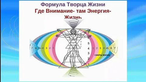 Внимание и энергия
