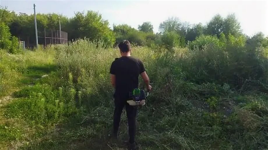 Буйные заросли