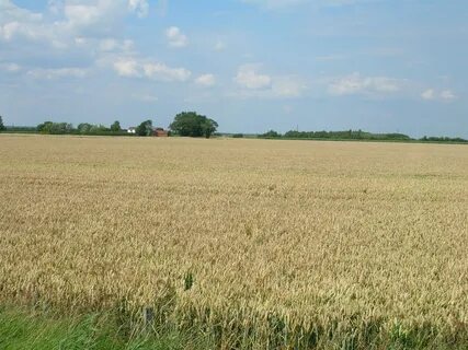 Поле в русской культуре