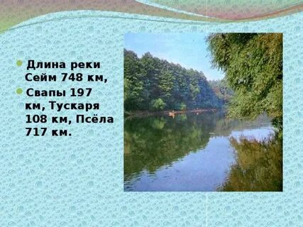 Куда впадает сейм