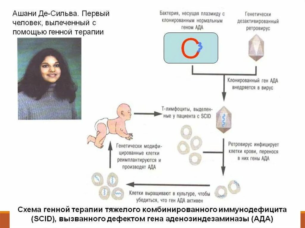 Генная терапия заболеваний. Лечение генетических заболеваний генная инженерия. Лечение наследственных болезней. Генная терапия.. Генная терапия 1990 год.