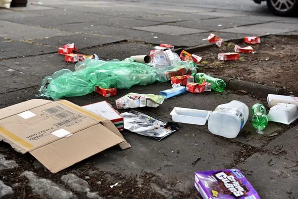 Littering перевод на русский. Litter. Litter bin. People litter. Fine people who litter.