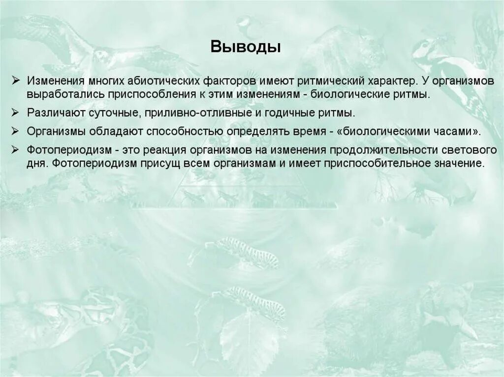 Реакция организма на изменение длины светового дня