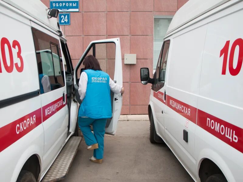 Помощь в великом новгороде