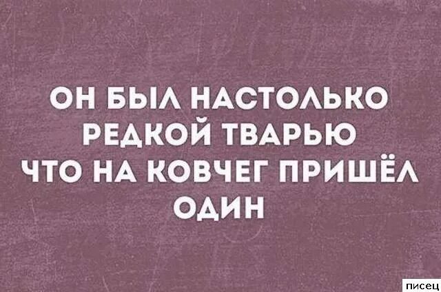 Настолько редко. Он был настолько редкой тварью что на ковчег пришел один. он был настолько редкой тварью. +она была настолько редкой тварью что на ковчег пришла 1. высказывание о редких тварях.
