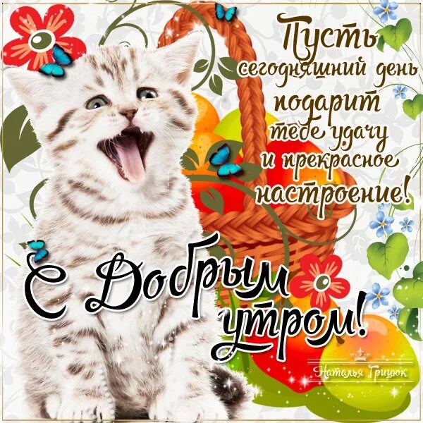 Доброго весеннего дня четверга. Доброго четверга котики. открытки с четвергом. хорошего настроения в четверг. четверг хорошего дня прикольные.