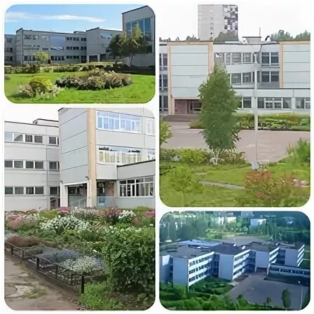 Школа 2 радужный