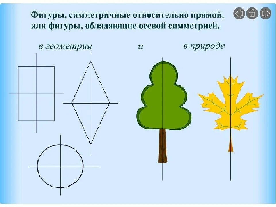 2 симметричные фигуры