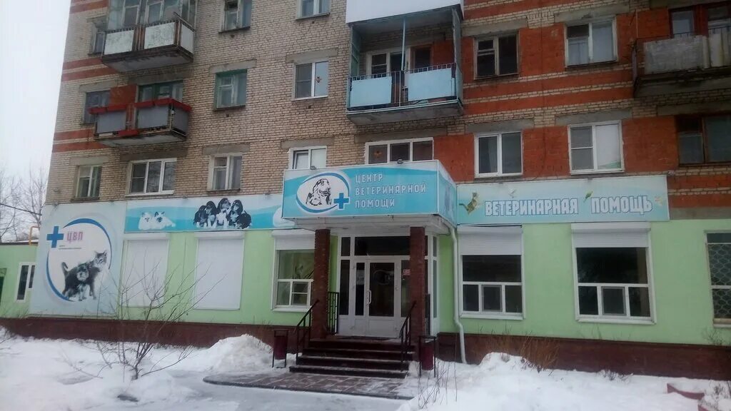 центр помощи семье и детям архангельск. центр помощи дзержинск. центр помощи дзержинск. ветеринарка дзержинск. бсмп дзержинск нижегородская область.