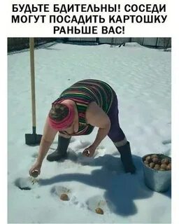 Ничего садить не буду