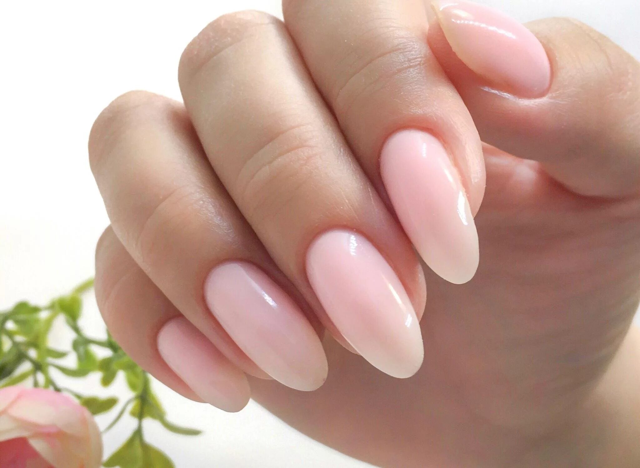 нюдовый цвет гель лака. нюдовый цвет гель лака. нюдовый цвет гель лака. маникюр телесного цвета. нюдовый цвет гель лака.