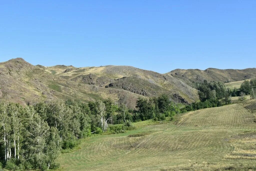 белошапка оренбургская область. белошапка оренбургская область. орск село белошапка. оренбург деревня белошапка. белошапка оренбургская область.