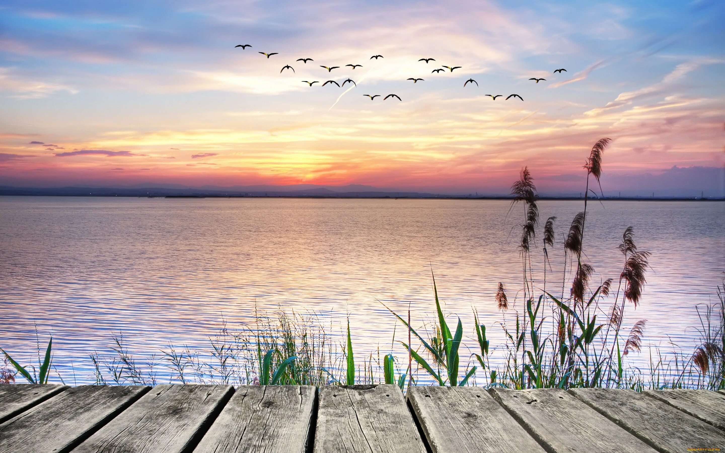 Озеро солнечный берег. Озеро Чаны рассвет. Плещеево озеро берег с камышом. Озеро Чаны фото. Пирс Плещеево озеро.