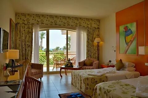 Parrotel beach resort отзывы 2024
