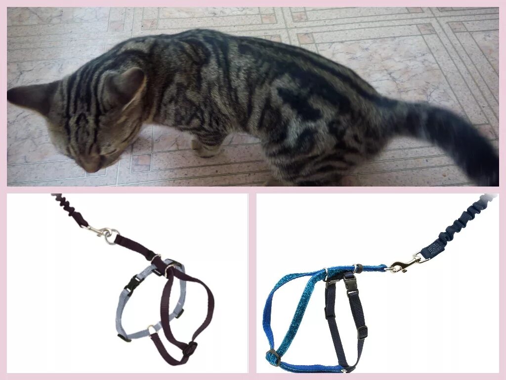 kmart puppy harness and lead Purchase - 57