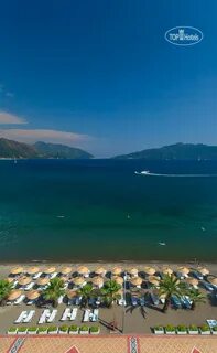 The beachfront hotel 4