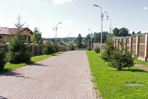 Сосновый бор раменский