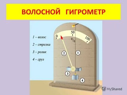 Волосяной гигрометр