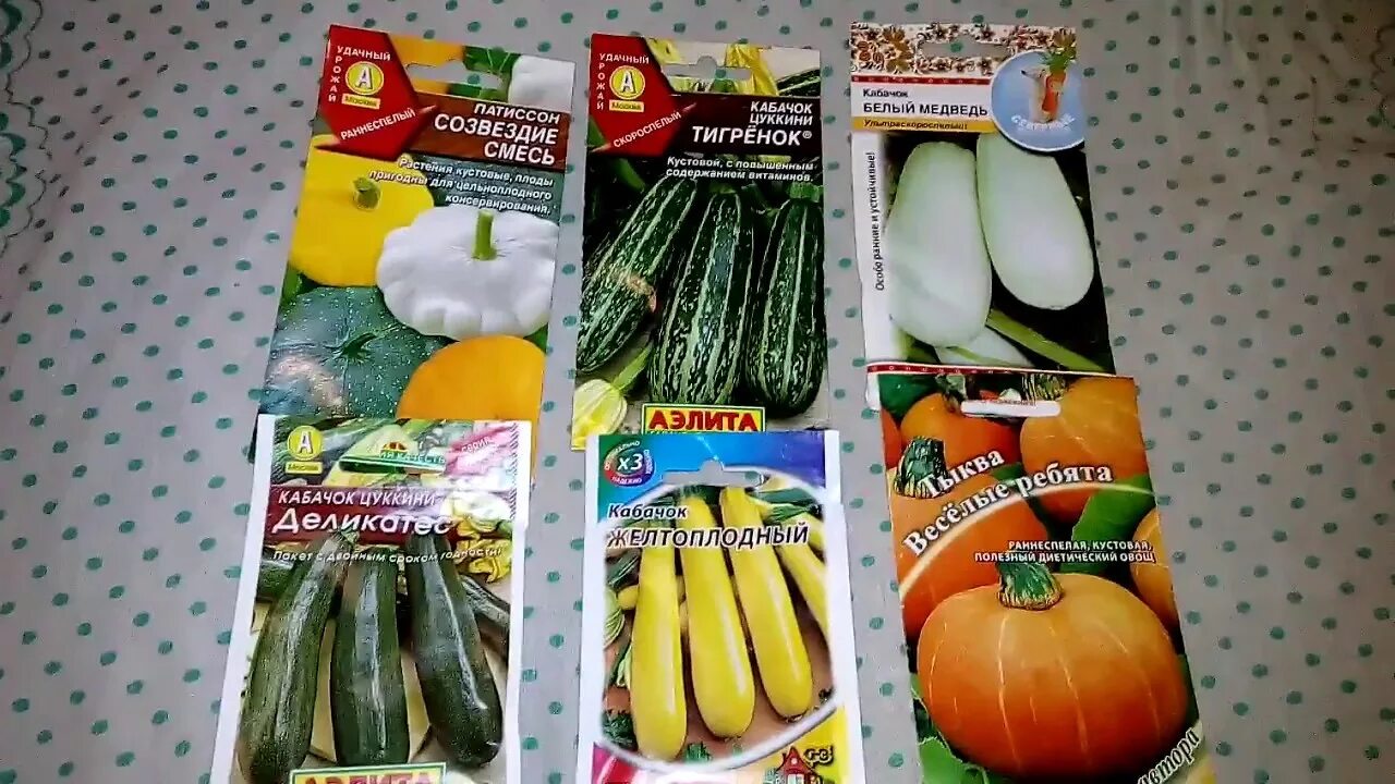 Огурцы кабачки тыква патиссоны. Семена патиссонов и кабачков. патиссон и кабачки семена. семена тыквы и кабачка.