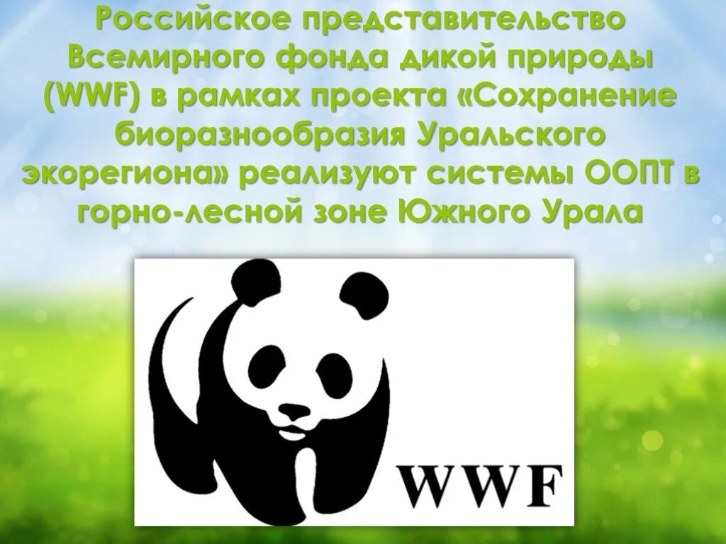 Всемирный фонд дикой природы WWF. Всемирный фонд дикой природы основные направления деятельности. Фонд дикой природы в России. Эмблема WWF Всемирного фонда дикой природы.