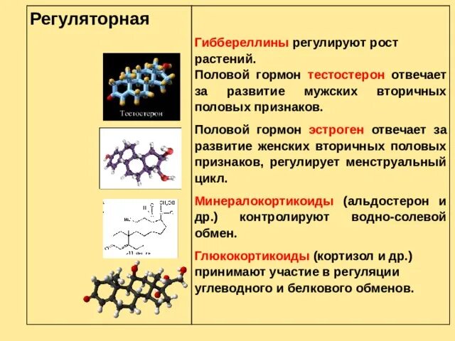 Липиды строение и функции. Функции липидов биология. Регуляторная функция липидов. Липиды входят в состав клеток