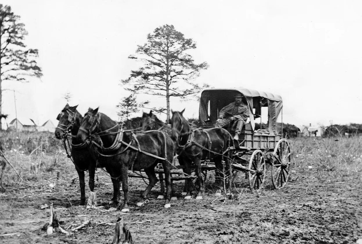 московский тракт в иркутске 18 век. фаэтон в россии карета 19 век. тарантас в тобольской губернии 19 век. старые почтовые дороги. почтовая станция 19 века московско-сибирский тракт.