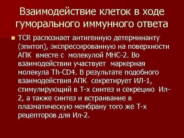 Взаимодействие иммунных клеток