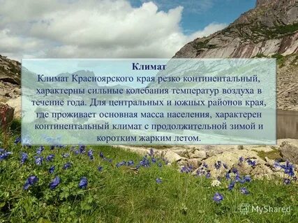 Климат красноярского края