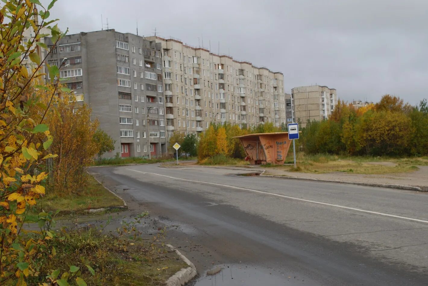 природа города мончегорска. мончегорск имандра. машины полиции россии.