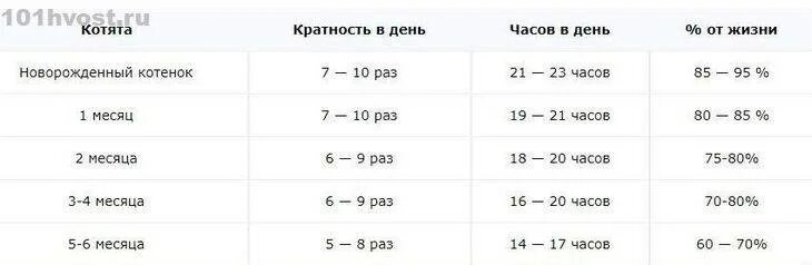 Сколько спят котята в 3 месяца. Сколько спят котята в 1.5 месяца в день. Сколько спят котята в сутки в 1.5 месяца. Сколько часов спят котята в 2 месяца. Активность в 2 месяца