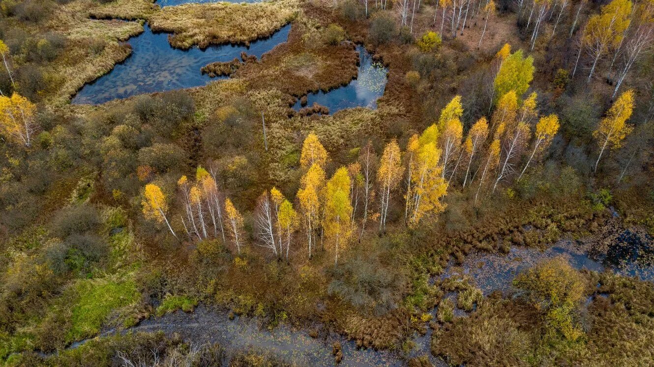 Республиканские заказники