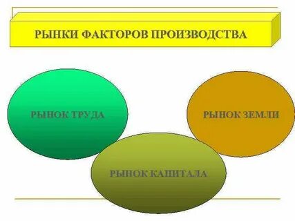 Рынки производственных ресурсов рынок труда