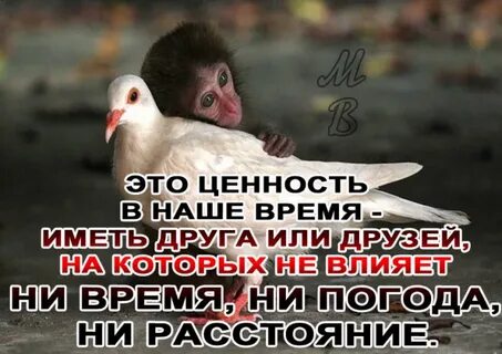 Не влияет ни на один