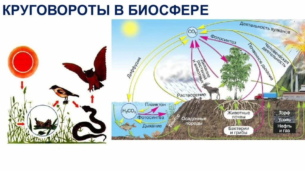 Круговорот веществ в биосфере обеспечивается. Круговорот веществ в биосфере. Биосфера круговорот веществ в биосфере. Круговорот веществ и энергии в биосфере схема. Круговорот в биосфере.