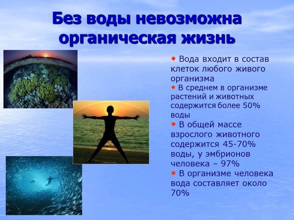 Вода в жизни растений и животных. Вода со стороны биологии. Вода в жизни живых организмов. Вода входит в состав любого живого организма. Вода составляет значительную