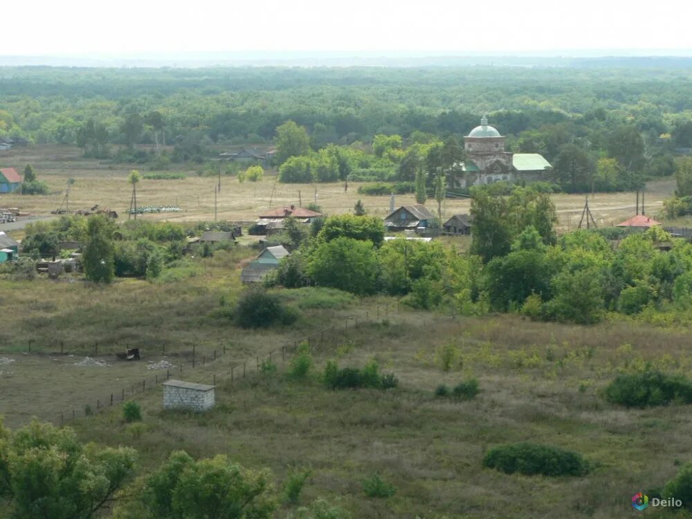 Лопуховка (село, Аткарский район). Село Старая Лопуховка Аткарский. Храм.Лопуховка Аткарский район. Елизаветино Аткарский район.