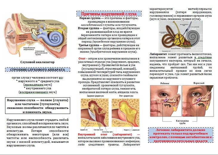 Профилактика органов слуха. Профилактика острого среднего отита. Профилактика отита у детей. Буклет острый средний отит. Предупреждение заболеваний органов слуха.
