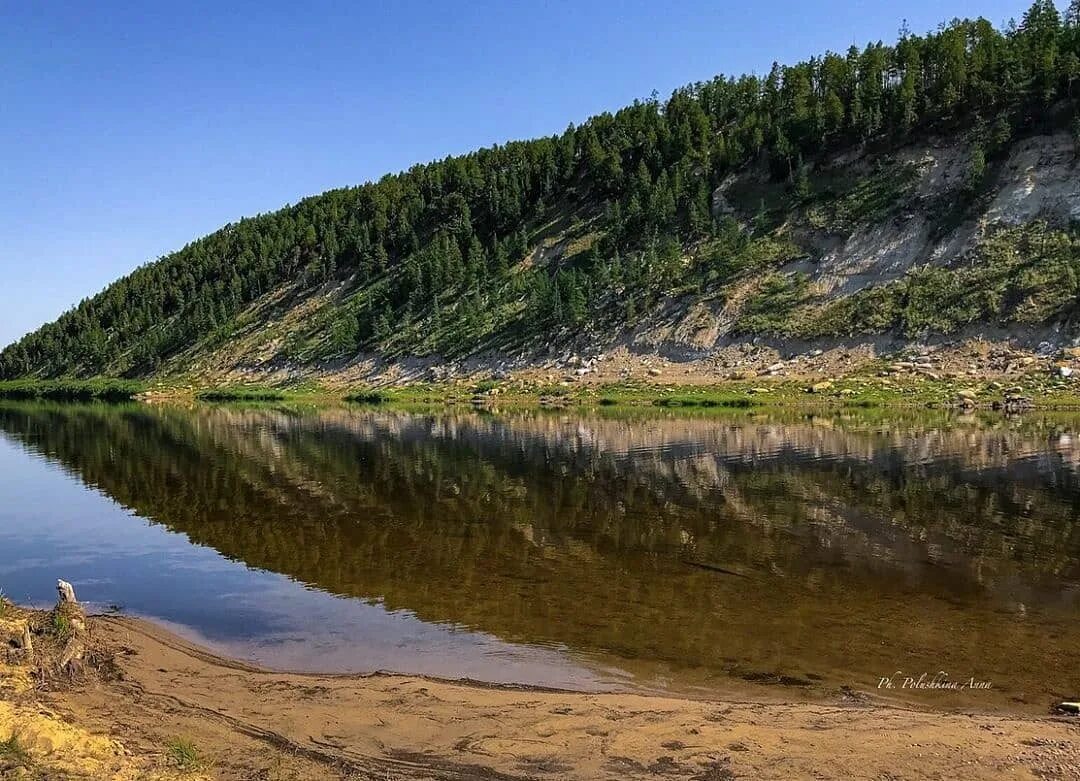 Река амга амгинский улус. Амга саха. Река амга ельники. Река амга якутия. Саха якутия.