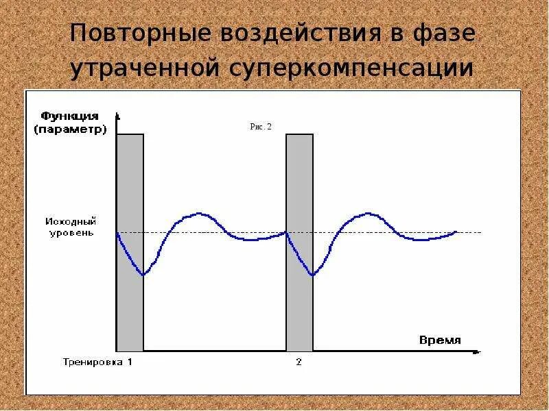 4 фазы нагрузки. Фаза суперкомпенсации. фаза утраченной суперкомпенсации. фазы восстановления суперкомпенсация. фаза суперкомпенсации график.