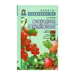 Смородин книги