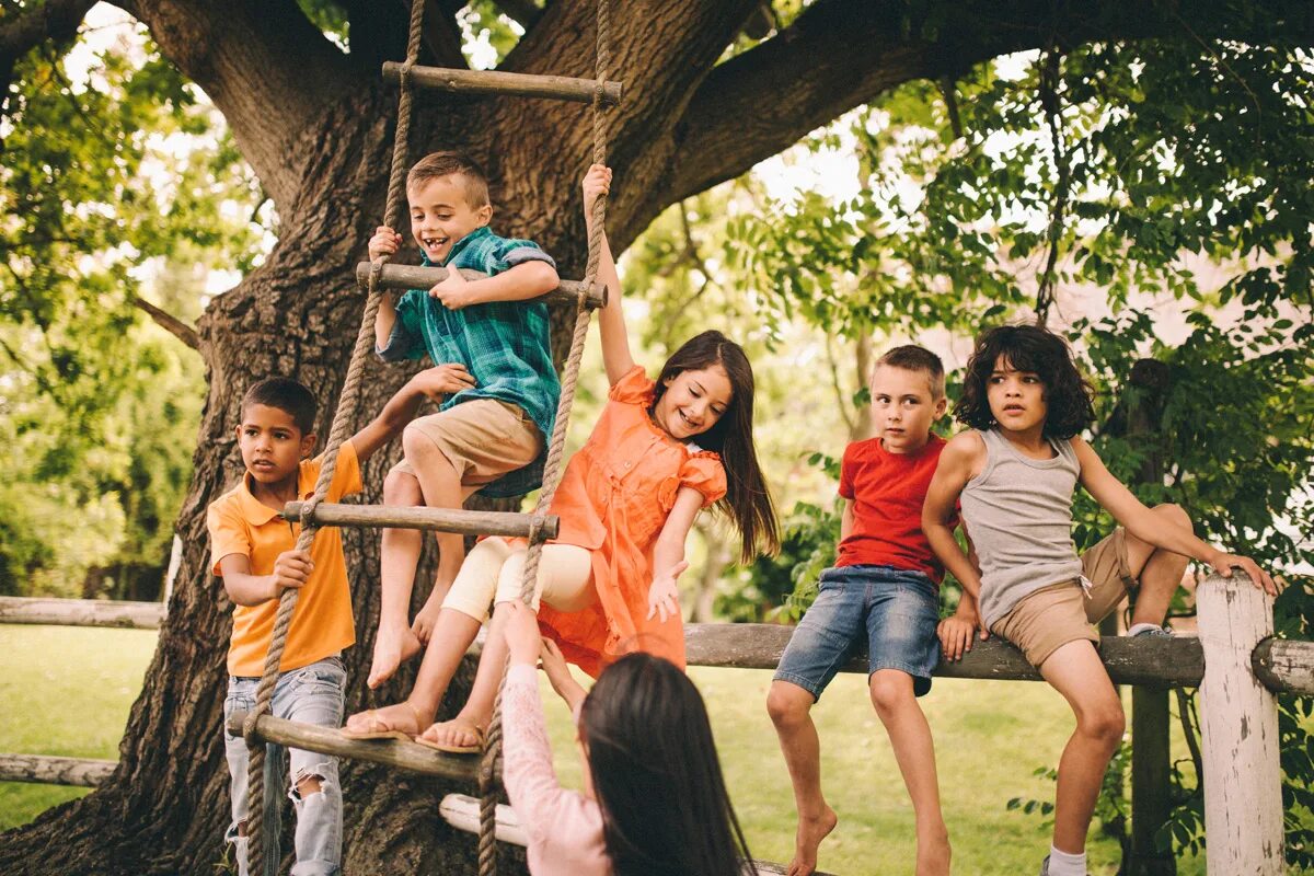 Children like going to the. Дети в парке. Парк для детей. Дети играют на дереве. Дети в парках.