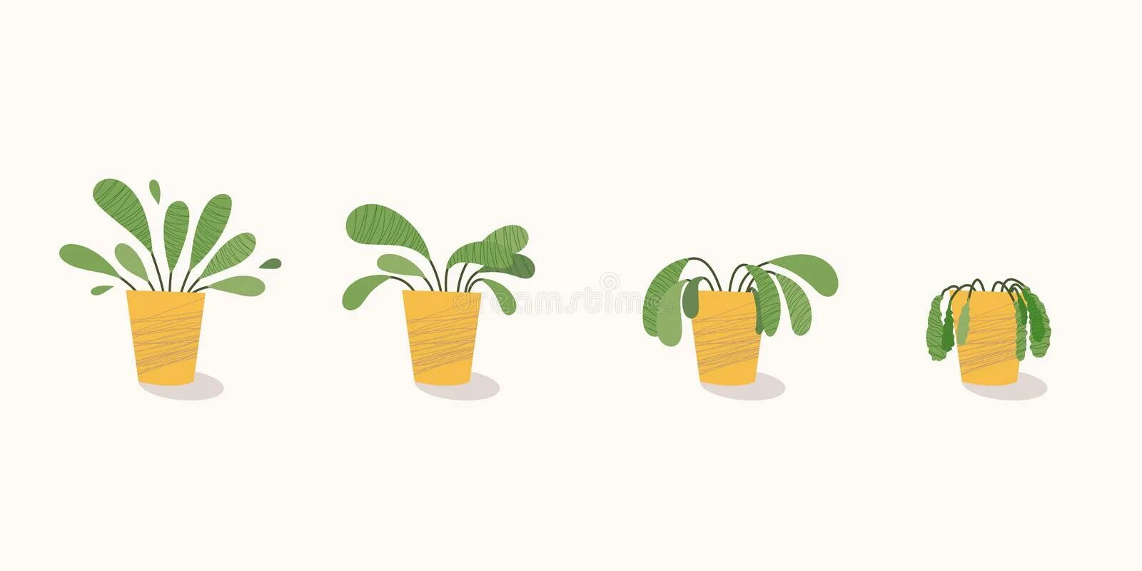 Вялое растение в горшке. Засохший комнатный цветок. Плант цветок уход. Plants die if. Plants die if.