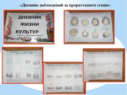 Как оформить наблюдение