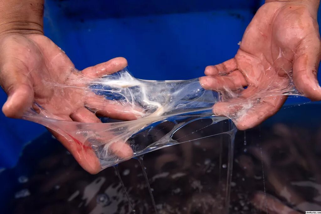 Как называется слизь. Слайм сопли. Слизь лизун. Слизь слайм геншин. Сцп 999 щекоточный монстр.