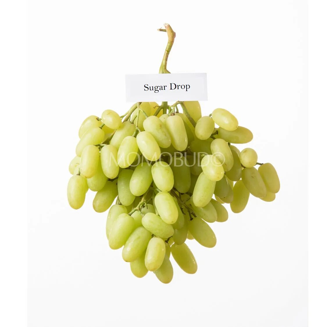 Milano виноградные. виноградный сорт рататуй. коттон кенди виноград кэнди. фото виноград рататуй. шугар дропс виноград.