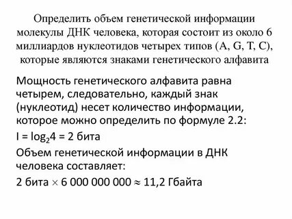 Человеческая днк состоит на 40 процентов
