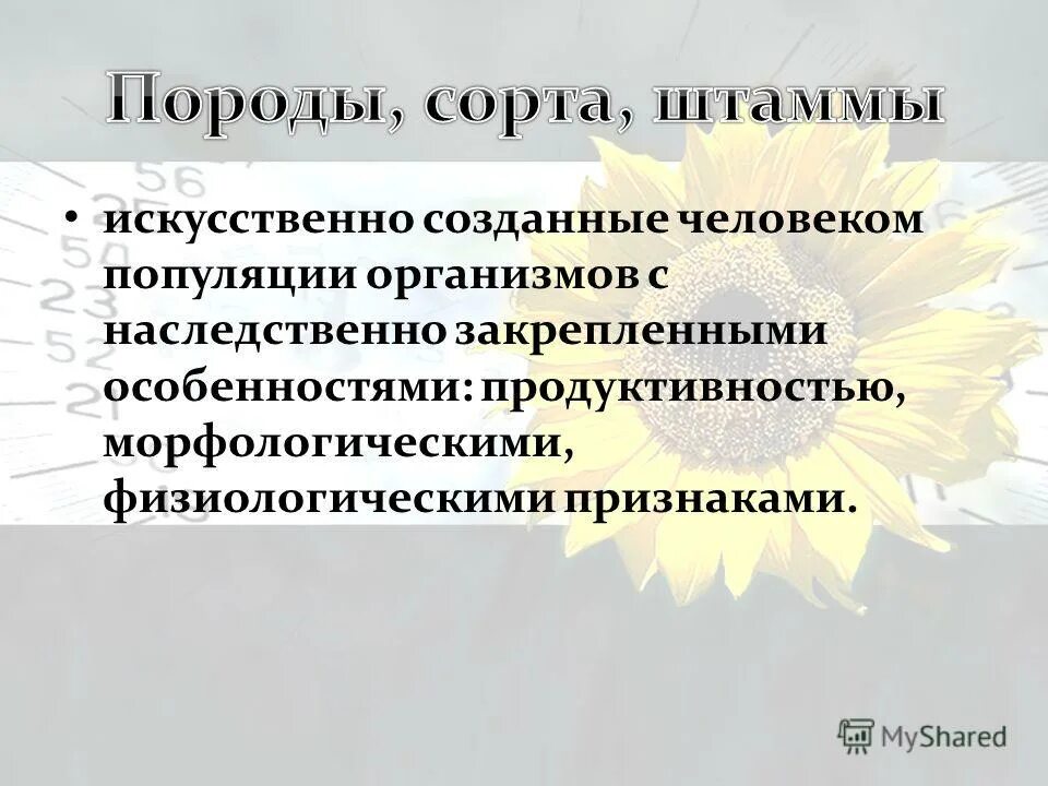 Искусственно созданные человеком популяции организмов. Что называют породой. Искусственно созданная человеком популяция организмов. Сорта растений и породы животных. Наука занимающаяся разработкой теории и методов создания.