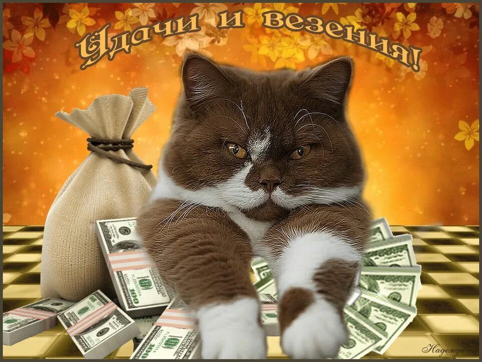 Открытки с днем рождения с изображением денег. Анимационные открытки удачи. Денежный фон. Хочу денег. Хочу много денег.