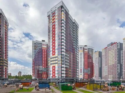 Петербург невские паруса