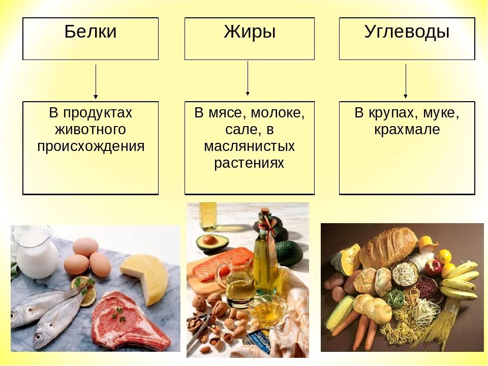 Основные источники растительного. Белки углеводы жиры животного происхождения. Белки жиры углеводы в продуктах. Продукты богатые углеводами жирами и белками. Жиры и углеводы.